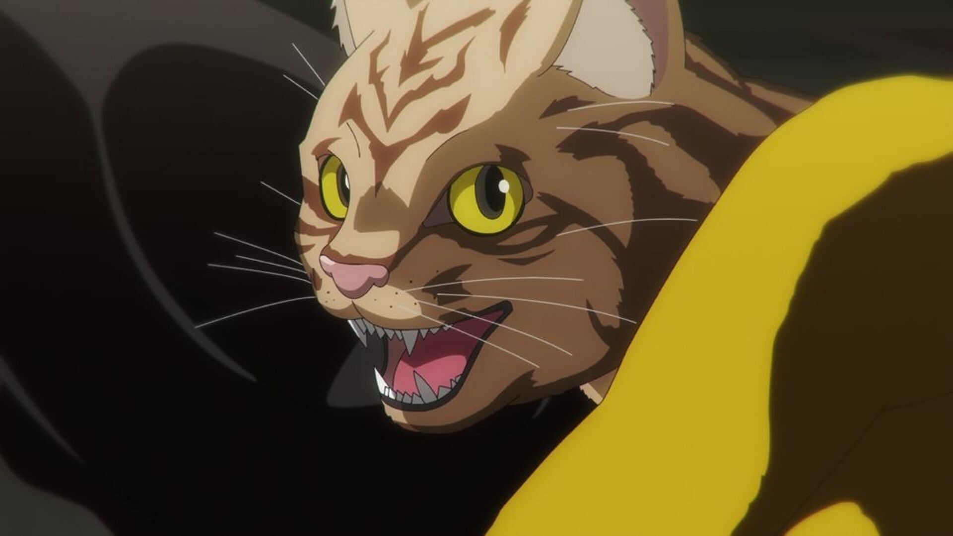 Tanishi as a cat (Image via OLM Studios)